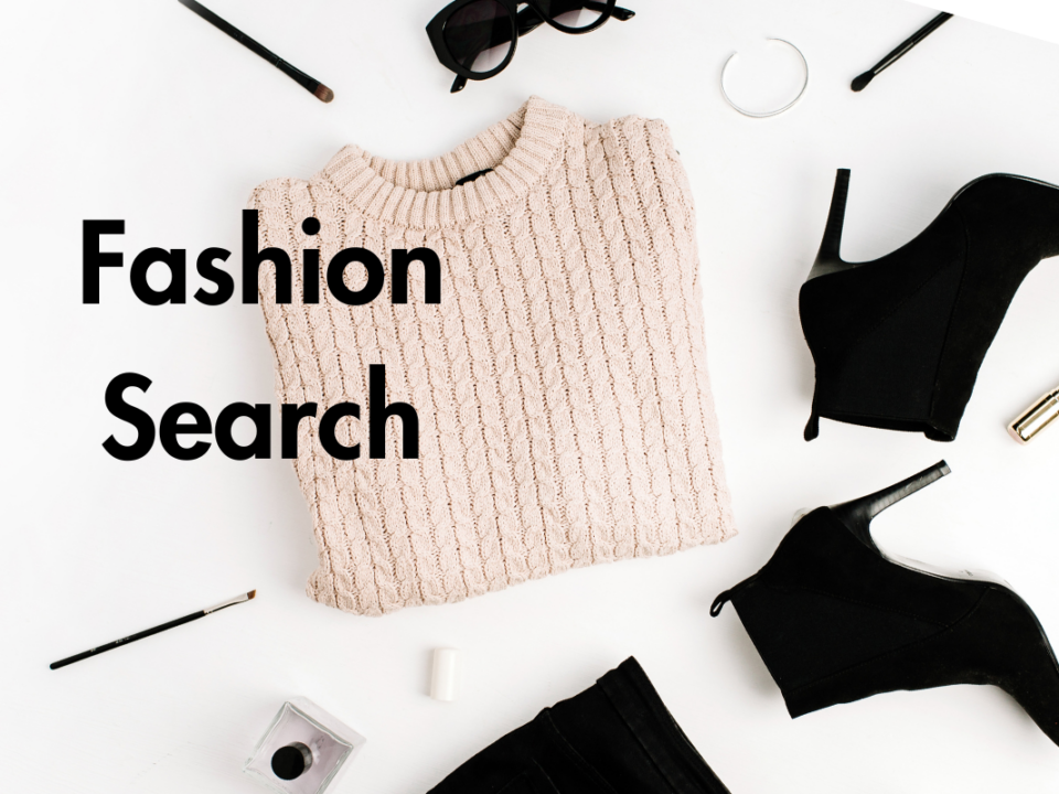 Fashion search